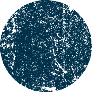 88a06a67cd7548ed93a304158ea96738